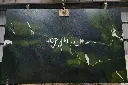 Avocado Green Quartzite (4).webp