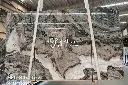 Fantasy Green (Granite) (2).webp
