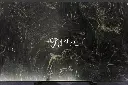 Speranza Quartzite (2).webp