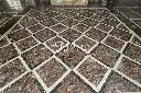 Colourful Rosso Marinace (Marble) (3).webp