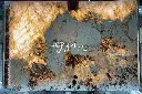 Pandora (Quartzite) (7).webp