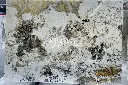 Pandora (Quartzite) (1).webp