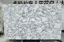 Arabescato Marble (3).webp