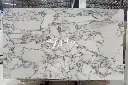 Arabescato Marble (5).webp